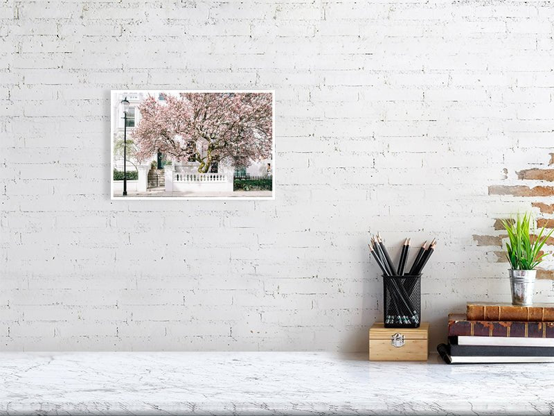 London Art Print, Picture of Magnolia Tree, London Art Print Rue Paradis Art Prints