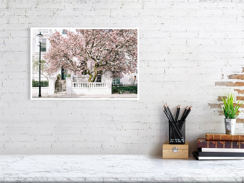 London Art Print, Picture of Magnolia Tree, London Art Print Rue Paradis Art Prints