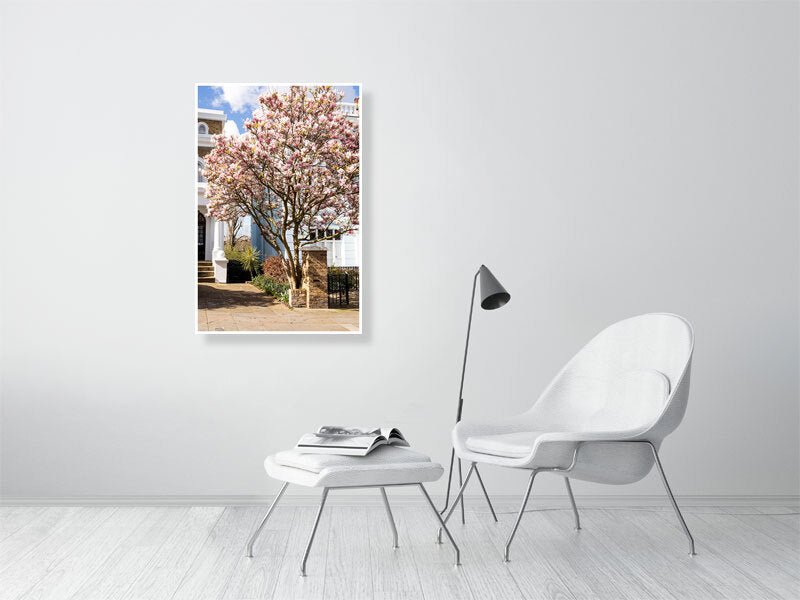 London Blossom Art Print - Pink Magnolia Tree Wall Art Rue Paradis Art Prints