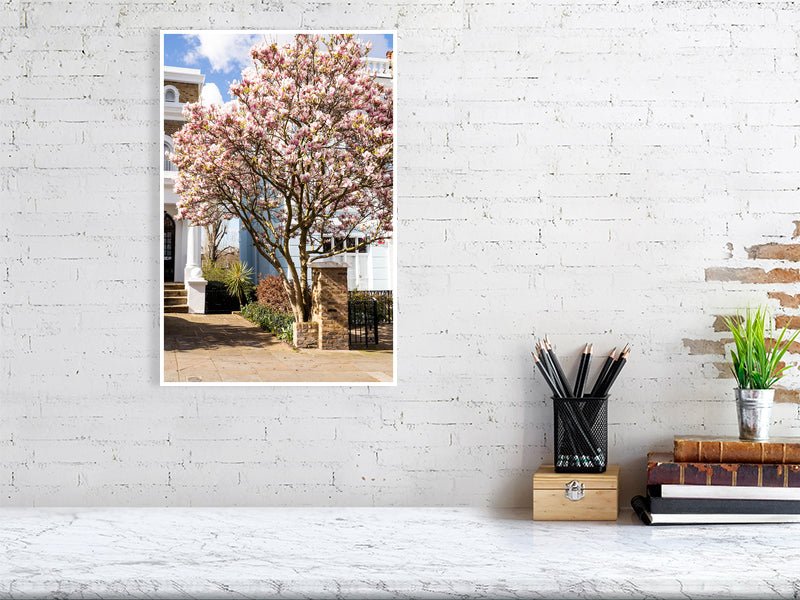 London Blossom Art Print - Pink Magnolia Tree Wall Art Rue Paradis Art Prints