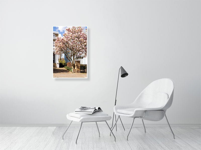 London Blossom Art Print - Pink Magnolia Tree Wall Art Rue Paradis Art Prints
