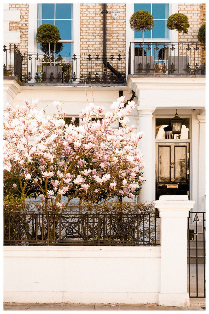 London Spring Blossom Art Print - Pink Magnolia Tree Wall Art Rue Paradis Art Prints