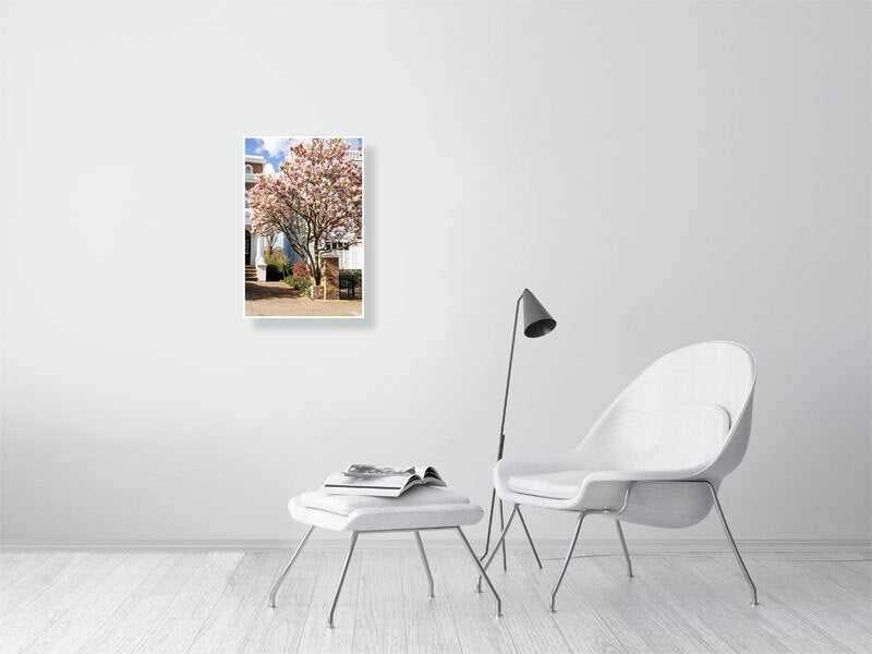 London Blossom Art Print - Pink Magnolia Tree Wall Art Rue Paradis Art Prints