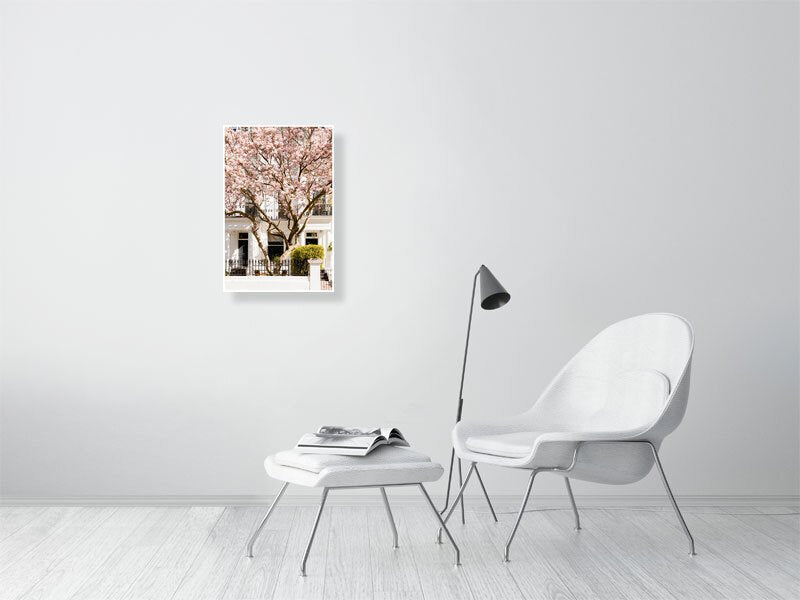 London Pink Magnolia Blossom Art Print, Spring Home Decor Rue Paradis Art Prints