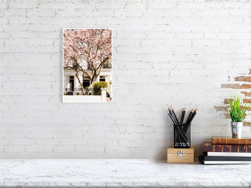 London Pink Magnolia Blossom Art Print, Spring Home Decor Rue Paradis Art Prints