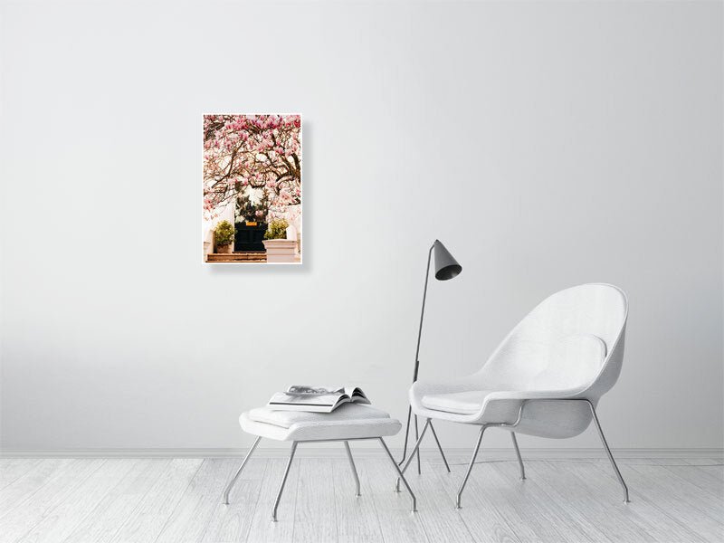London Spring art print wall art, Pink Blossom Magnolia Tree Rue Paradis Art Prints
