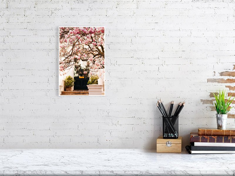 London Spring art print wall art, Pink Blossom Magnolia Tree Rue Paradis Art Prints