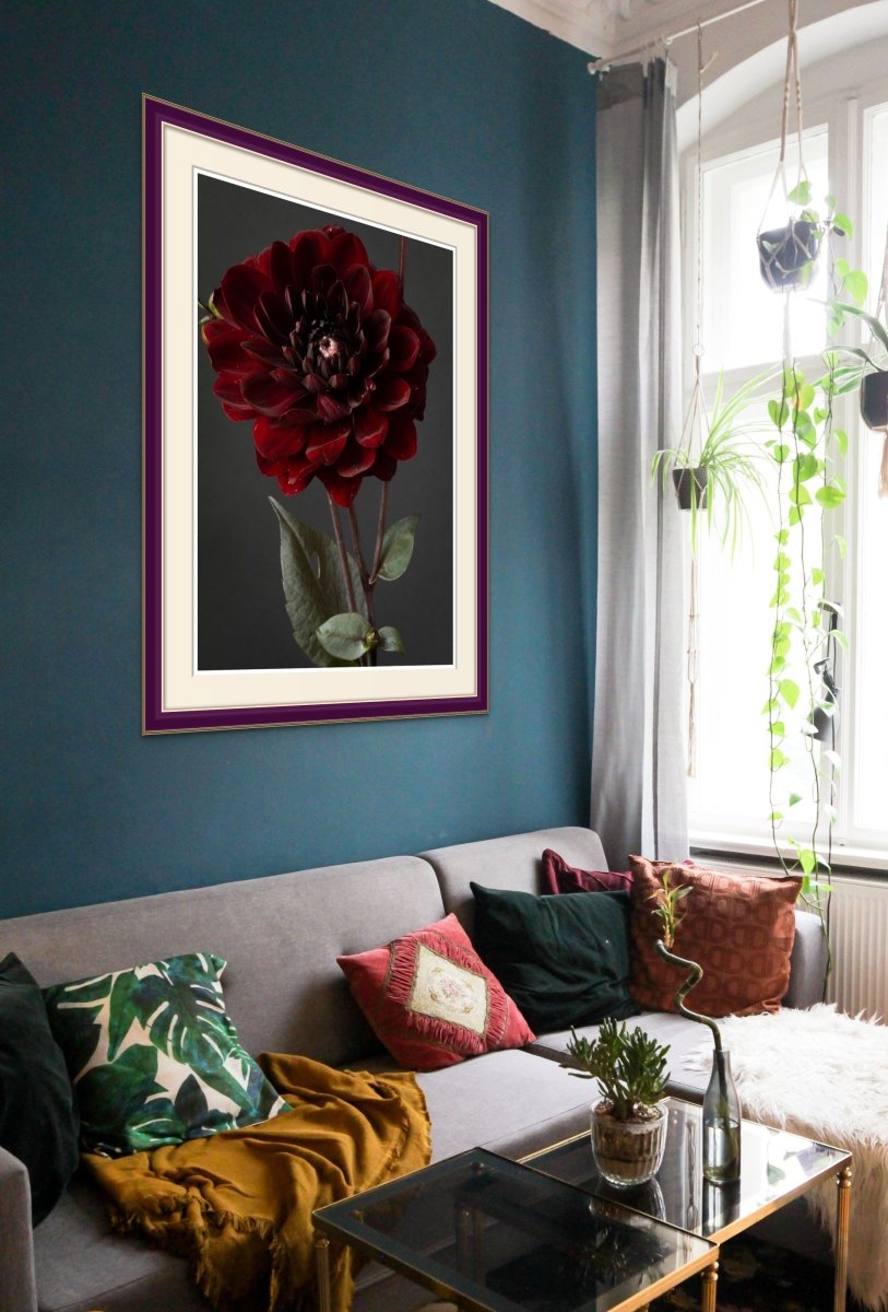 Dahlia Flowers Pictures, Floral Wall Decor, Botanical Art Rachel Vogeleisen Prints