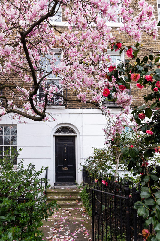 London Magnolia Blossoms Wall Art for bedroom, Pink blossoms for home My Store