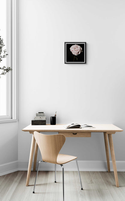 Photo of Peony Flower, Flower Wall Art, Flower Art Print Rachel Vogeleisen Prints