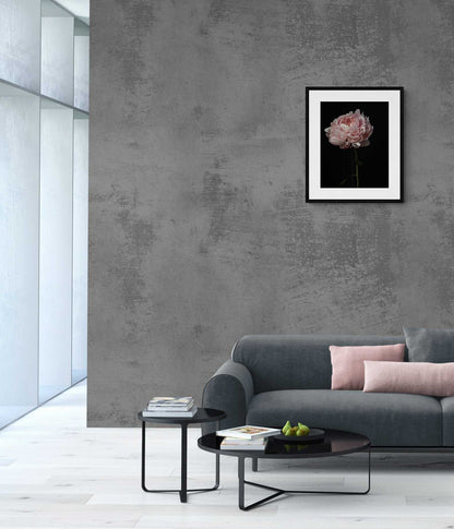 Reine Hortense Peony Flower Photography Print, Elegant Peony Wall Decor Rachel Vogeleisen Prints