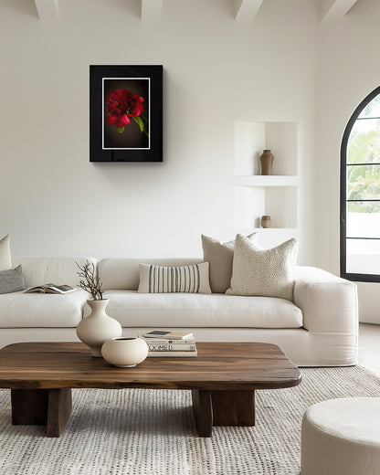 Dark Red Peony in Bloom Archival Print – Wall Art Print