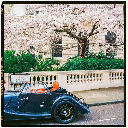 London Wall Art, Springtime Art Print with Classic Car, Cherry Blossom Photograph