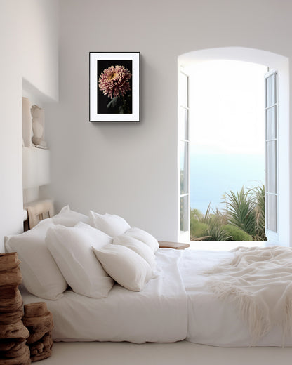 Botanical Art Print: Chrysanthemum Flower Head Wall Art