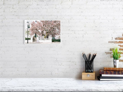 London Art Print, Picture of Magnolia Tree, London Art Print Rue Paradis Art Prints