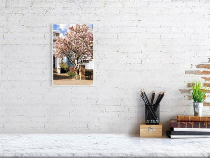 London Blossom Art Print - Pink Magnolia Tree Wall Art Rue Paradis Art Prints