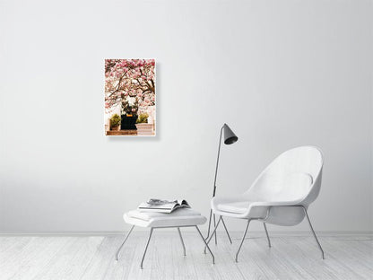 London Spring art print wall art, Pink Blossom Magnolia Tree Rue Paradis Art Prints
