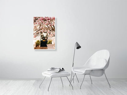 London Spring art print wall art, Pink Blossom Magnolia Tree Rue Paradis Art Prints
