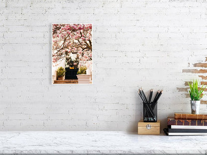 London Spring art print wall art, Pink Blossom Magnolia Tree Rue Paradis Art Prints