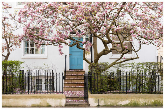London Spring Home Decor, Pink Magnolia Tree Art Print Rue Paradis Art Prints