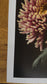 Botanical Art Print: Chrysanthemum Flower Head Wall Art