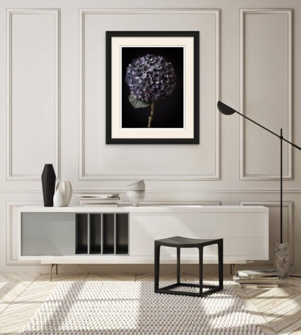 Hydrangea Flower Head Wall Art, Purple Hydrangea Wall Art - Image 2