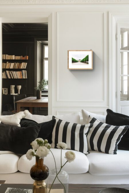 NancyPlacecarriere12x8