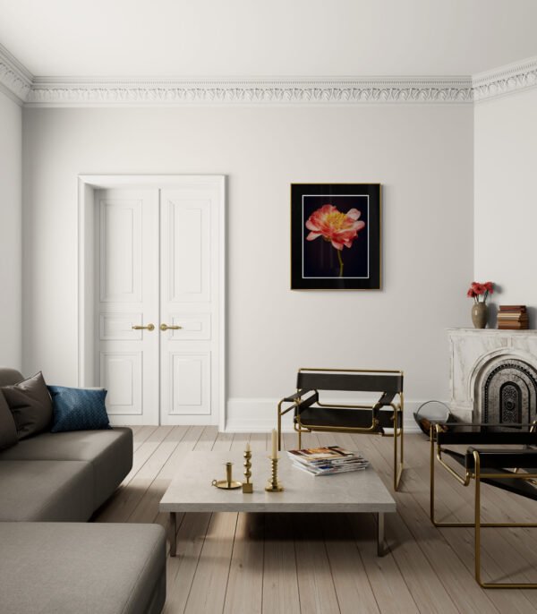Stunning Coral Peony Art Print | Floral Wall Decor on Black Background - Image 2