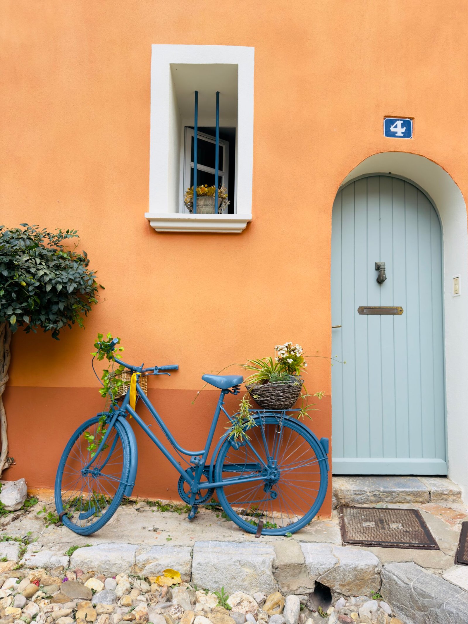 Hyeres les Palmiers