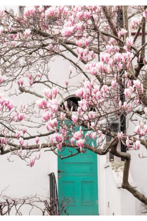 London Art Print, London Spring Photography, Magnolia tree eco-friendly wall art, giclée print