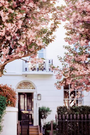 London Cherry blossom wall art for home decor, Pink cherry blossom tree wall art, London street scene wall art with blossoms, Springtime wall art, Giclée print