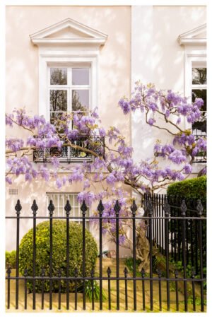 Elegant London Wisteria Wall Art: Eco-Friendly Bamboo Giclée Print