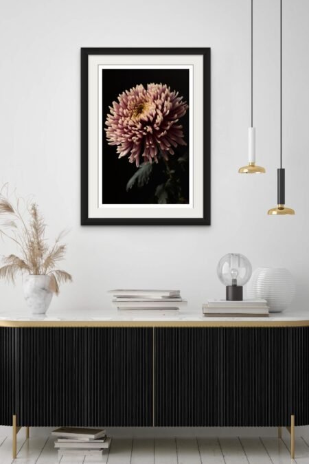 Botanical Art Print: Chrysanthemum Flower Head Wall Art 20x30 inches