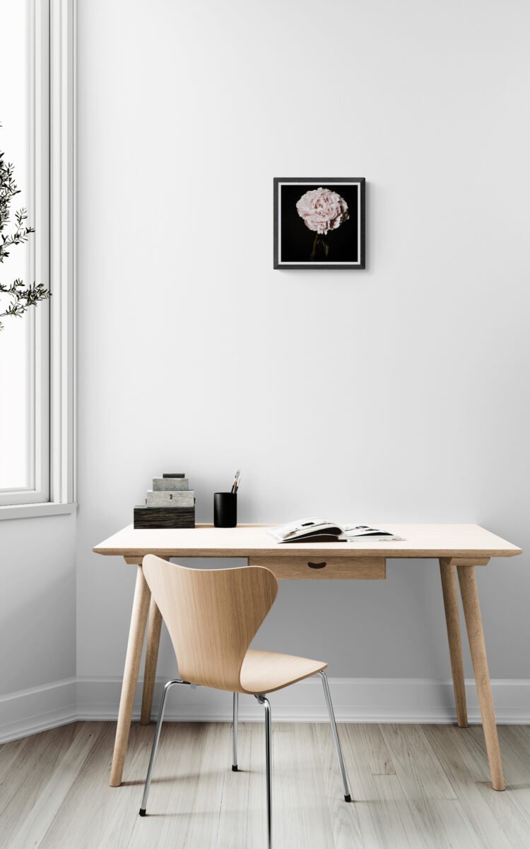 Photo of Peony Flower, Flower Wall Art, Flower Art Print 8x8 inches